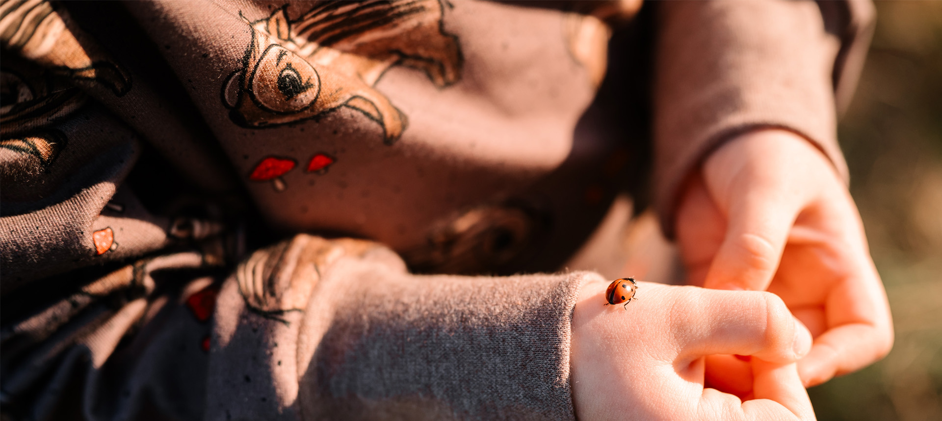 Selátka a beruška - banner